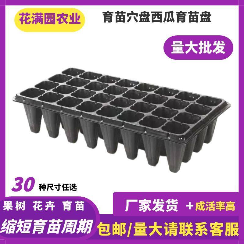 加深高脚育苗盘穴盘草莓月季樱桃林木加厚穴盘21孔32孔50孔育苗盘