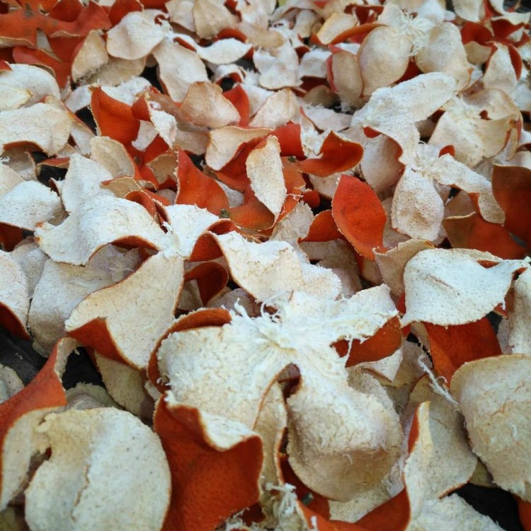 川陈皮正宗老树陈皮250g包邮陈允斌大红袍老陈皮红桔红橘陈皮泡茶