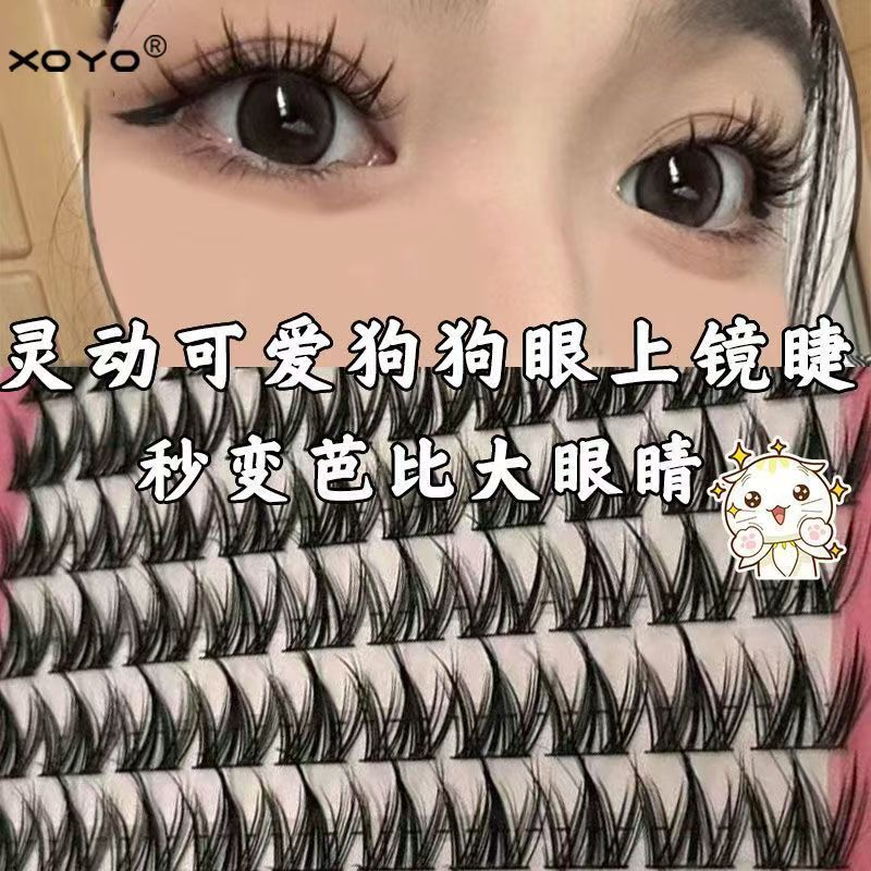 24排犬系超软大容量免胶