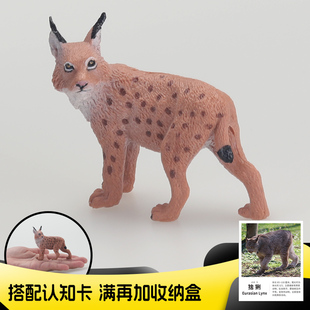 实心仿真动物玩具模型儿童玩具认知猞猁大山猫模型摆件