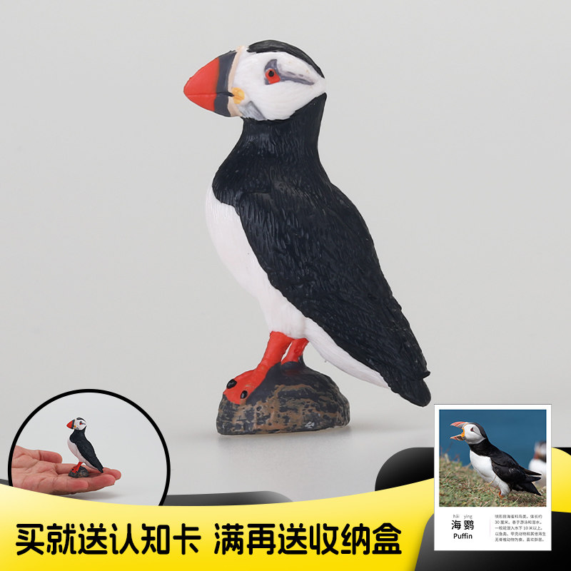 新款儿童实心仿真飞禽鸟类动物模型海鹦玩具摆件