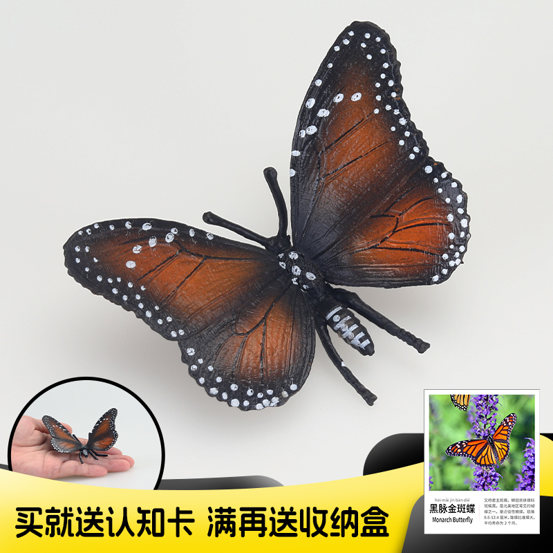 仿真昆虫动物蝴蝶模型帝王斑蝶