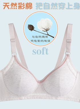 ab内衣无钢圈天然彩棉舒适简约胸罩宽肩带零压力薄棉杯文胸c435