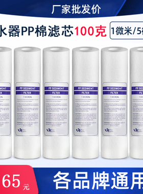 净水机器10寸PP棉滤芯平面100g饮水机纯水机过滤器1微米5微米通用