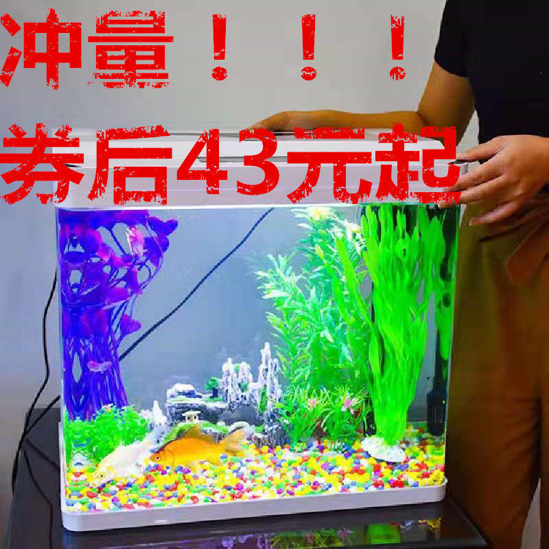 小型水草缸价格 小型水草缸图片 星期三