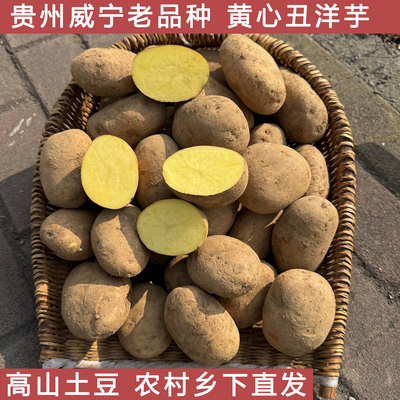 威宁高山农家肥洋芋米拉黄心土豆