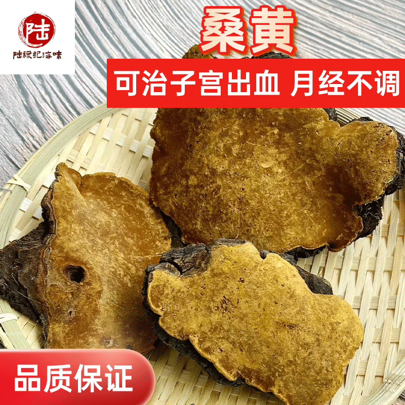 西藏直发野生桑黄灵芝正品自治区西藏小努13年专注桑黄特级共150g