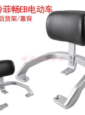 适用台铃菲畅EB电动车铝合金尾架靠背菲畅HX后备箱支架后衣架靠垫