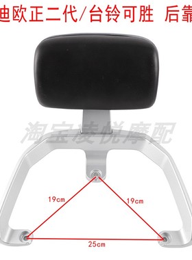 适用于雅迪欧正二代台铃可胜绿源MEA电动车靠背电瓶车靠垫尾衣架