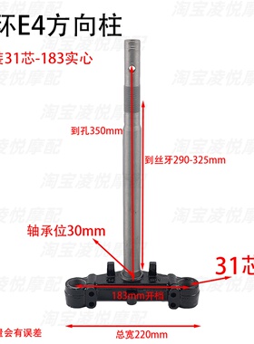 适用深远壹酷大环E4改装31芯实心方向柱电动车前叉三星柱转向器