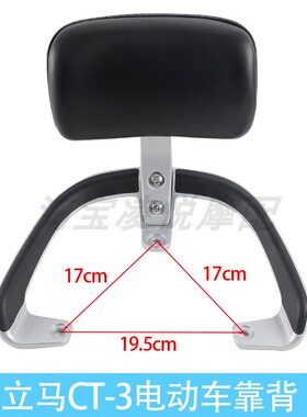 适用立马电动车CT-3/6后靠背CF-1尾翼扶手腰靠靠背加厚铝合金货架