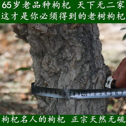 2026正宗宁夏中宁清水河百年老树老品种枸杞低温晾晒药食两用500g