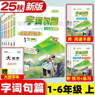 2025秋优秀生字词句篇与达标训练二年级语文上册人教部编版字词句篇一二三四五六年级小学教辅2年级上学期同步阅读课后练习辅导书