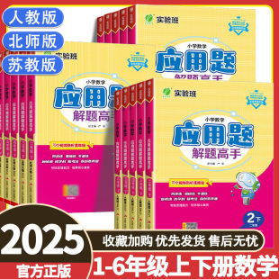 数学思维训练应用题专项训练解题技巧天天练 2025实验班数学应用题解题高手一二三四五六年级上下册人教北师苏教版