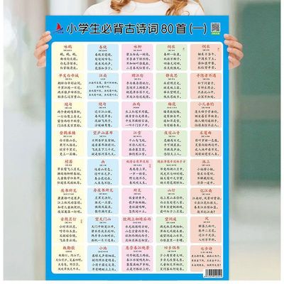小学儿童学习挂图全套