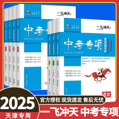 天津专用丨一飞冲天中考专项试题