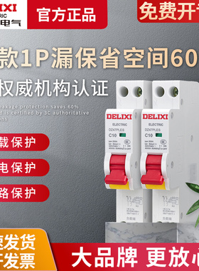 德力西DZ47PLES双进双出1P+N家用空气开关带漏电断路器 占1位回路