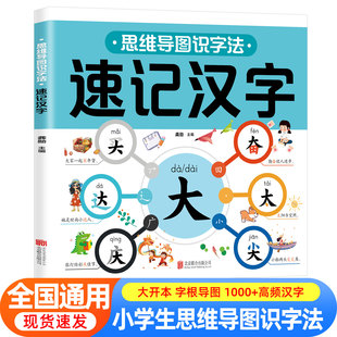 思维导图速记汉字小学生语文同步人教版生字开花生字组词造句预习卡偏旁部首组合一二三年级幼儿园形象识字象形儿童识字书幼儿认字