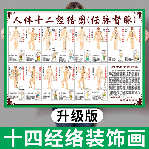 人体十二经络穴位标准大挂图海报