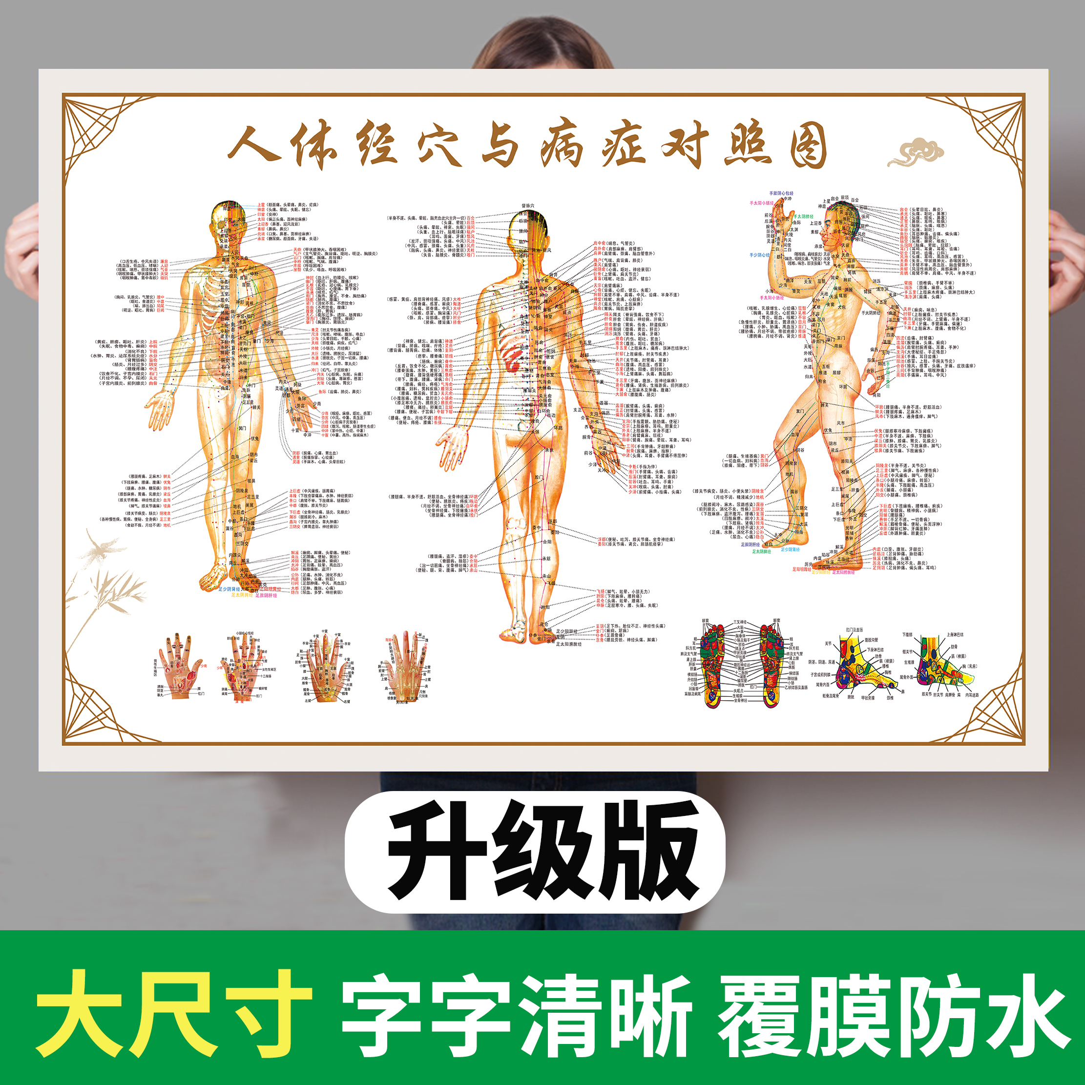 人体经络穴位标准大图挂图全身高清中医养生艾灸推拿按摩背部针灸 个性定制/设计服务/DIY 写真/海报印制 原图主图