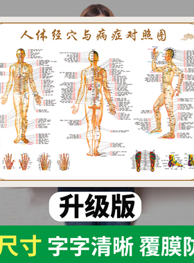 人体经络穴位标准大图中医人体经络穴位图全身高清经穴与病症对照