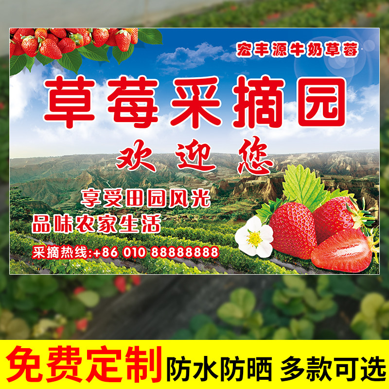草莓采摘园广告纸卖草莓喷绘布宣传贴纸指引招牌海报设计制作打印