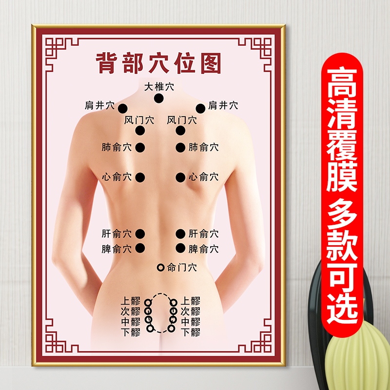 人体经络背部穴位图海报