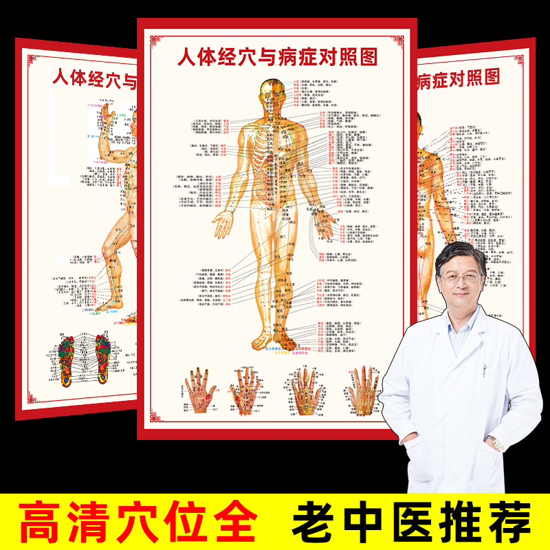人体经络穴位图标准大挂图