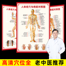 人体经络穴位图标准大挂图全身高清中医养生艾灸推拿按摩针灸贴纸