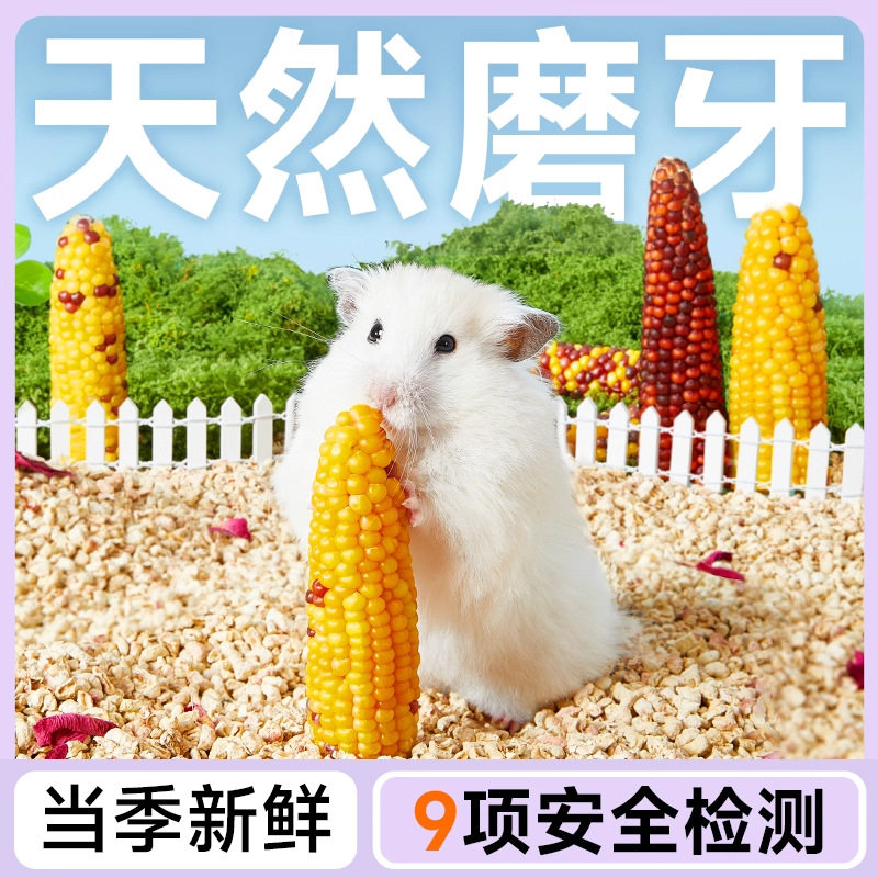 仓鼠磨牙迷你小玉米金丝熊零食龙猫豚鼠兔子营养粮食玩具用品批发