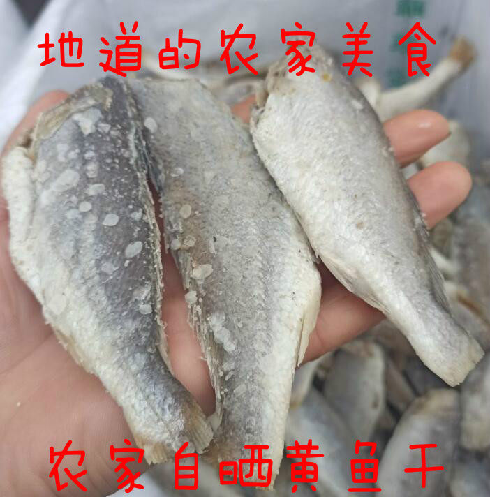 黄花鱼干500g海产品小咸鱼干鱼干
