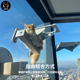 JoyCat天空猫墙吸盘猫爬架玻璃免打孔透明猫窝吊床实木多层板麻绳