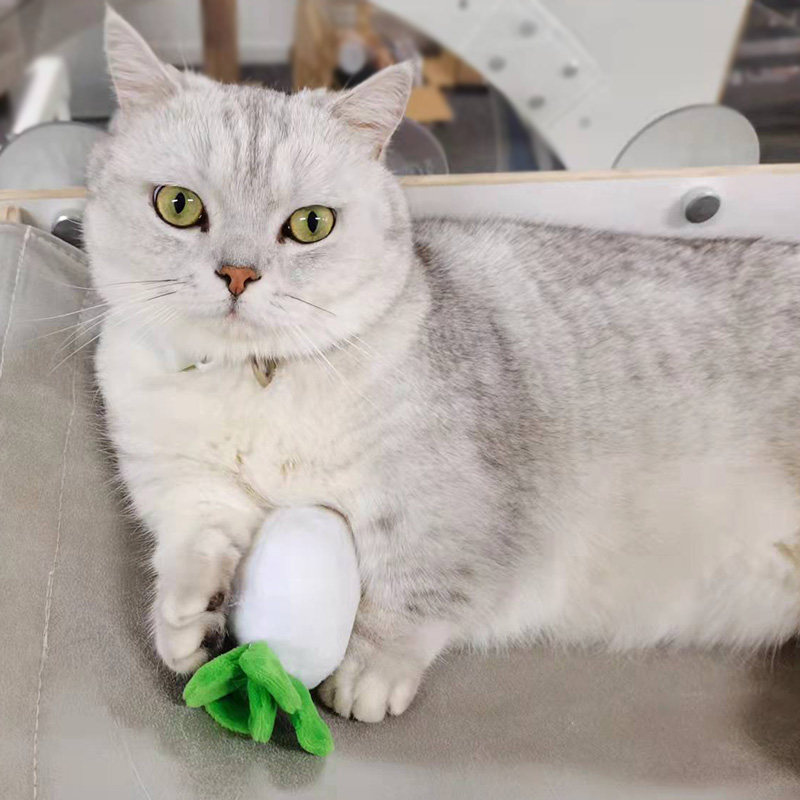 拔萝卜玩具小猫吸白萝卜宠物毛绒玩具bibi叫