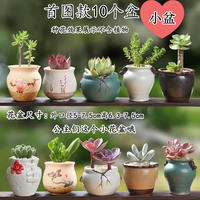 Succulent plant flowerpots, coarse earthenware green plant ceramic simple, individual and creative small flower pot sets for potted plants thumbnail 4