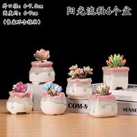 Succulent plant flowerpots, coarse earthenware green plant ceramic simple, individual and creative small flower pot sets for potted plants thumbnail 7