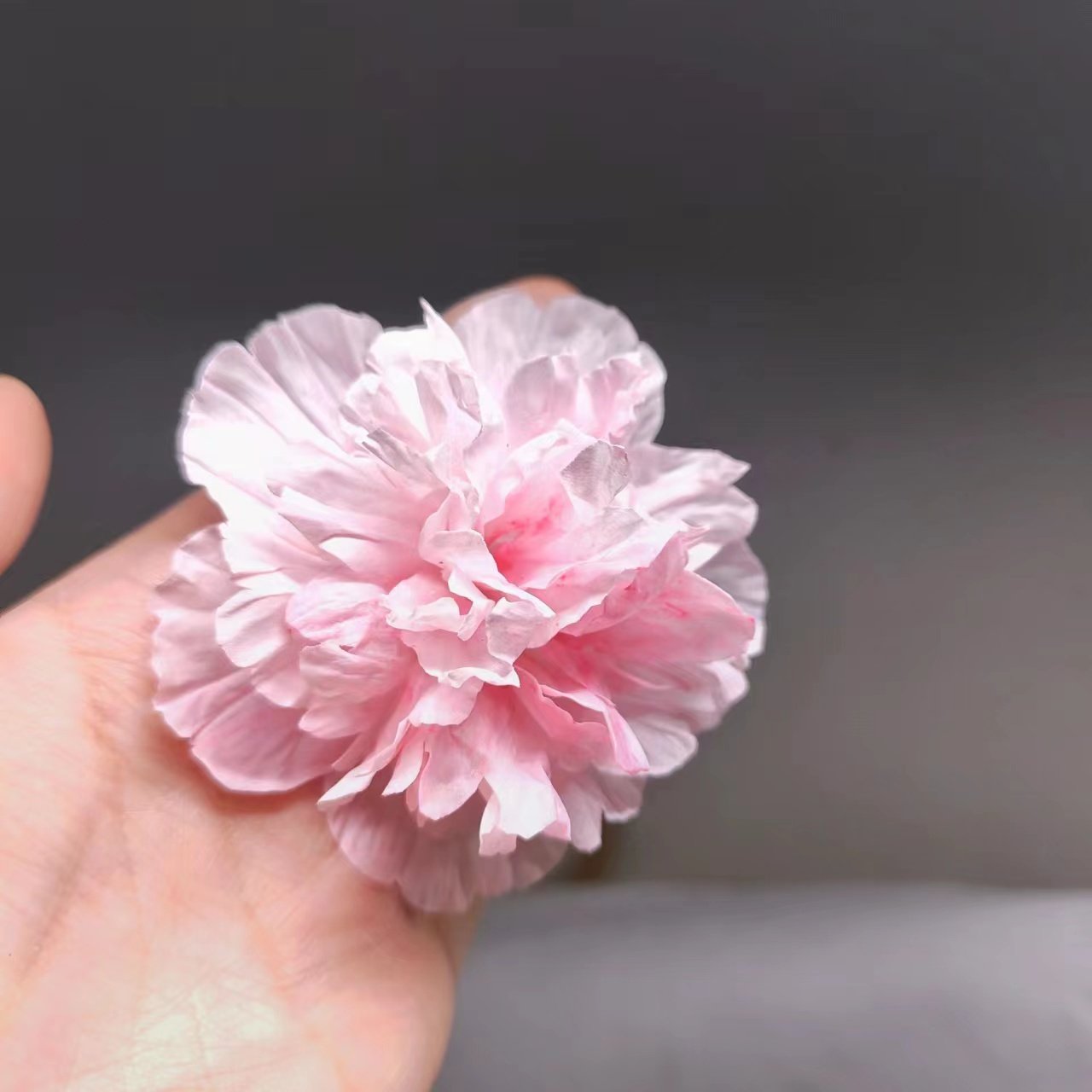 菁晏·木槿花通草花木芙蓉发簪定制汉服配饰簪花仿真芙蓉花发夹