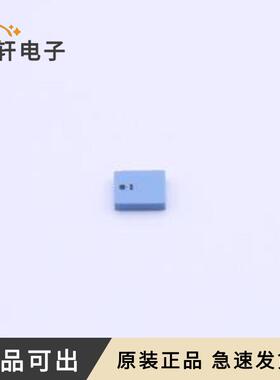 RFDIP2506BLM1T90原装-