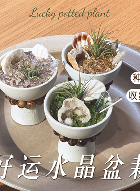 cooco万物有灵 天然水晶盆栽入户玄关办公室收银台招财摆件送礼物