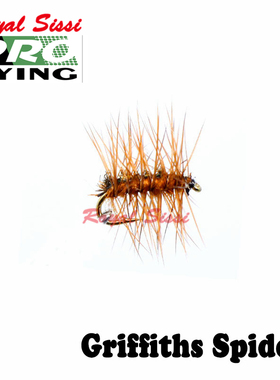 飞钓飞蝇毛钩16#干式毛钩 Griffiths 格里菲斯 干式飞蝇 飞蝇钓饵