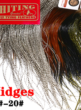 Whiting美国进口公鸡鞍羽微物蓑羽毛 格里菲斯蓑羽蚂蚁飞蝇钩羽毛
