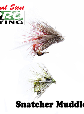 Royal Sissi 进口飞钓毛钩 12# 14#半浮式飞蝇 snatcher 昆虫拟饵