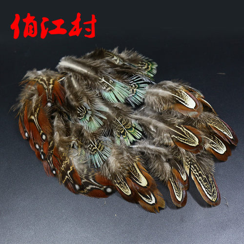 飞蝇钓山鸡躯体羽毛翅膀羽毛