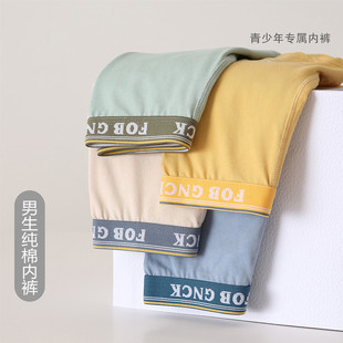 谷尼熊纯棉内裤男生大码A类抗菌网孔透气四角青少年初高中生平角