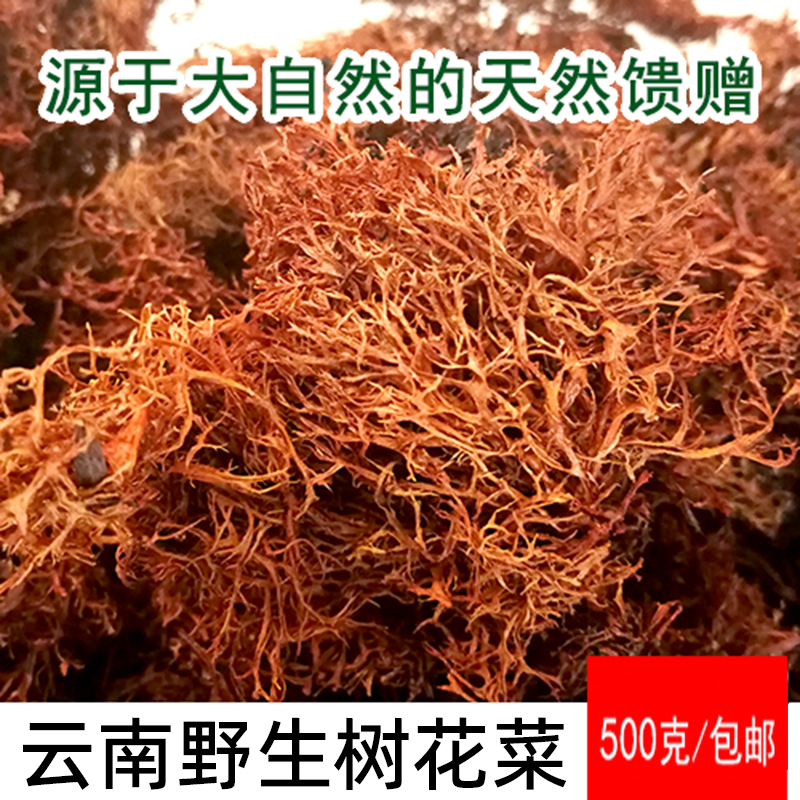 云南特产 山菜干货野菜 灰树花 树胡子龙须菜食用 树花菜500g包邮