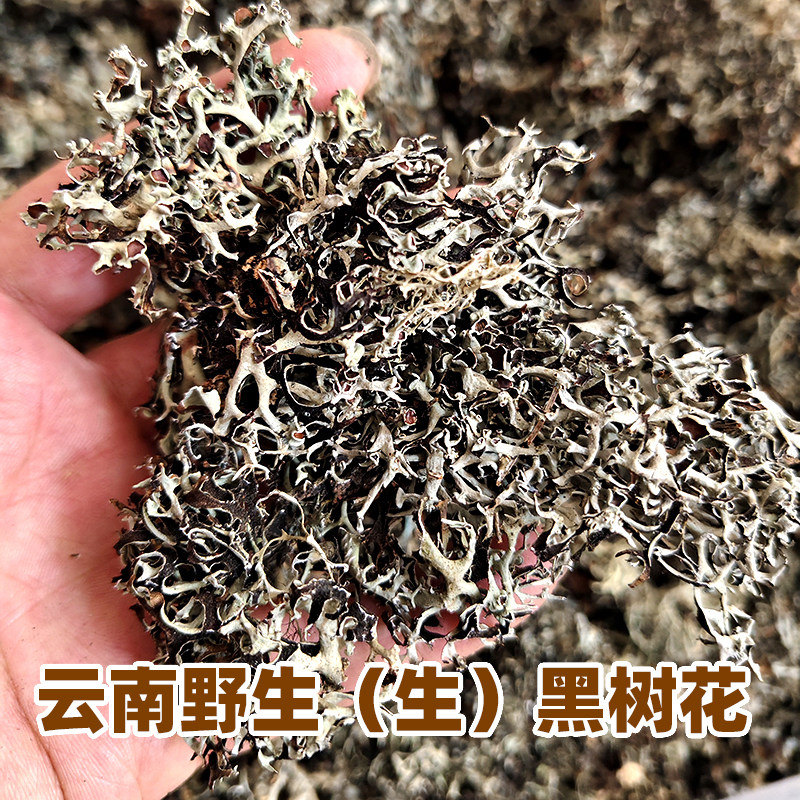 云南野生黑树花灰树花树花菜树皮树胡子野生干货树毛菜黑树花