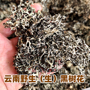 云南野生黑树花灰树花树花菜树皮树胡子野生干货树毛菜黑树花