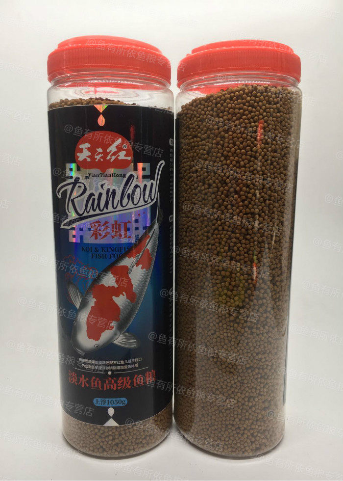 特价包邮天天红锦鲤饲锦鲤鱼增色
