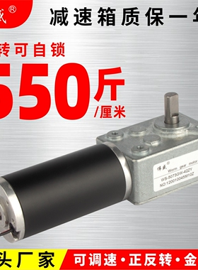 42ZY涡轮蜗杆直流减速电机12v24V直角可调速齿轮大扭力自锁小马达