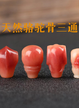 天然满血骆驼骨鲨鱼背奶嘴佛头一体三通佛珠手串金刚菩提文玩配饰