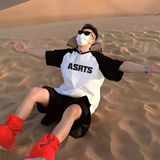 新潮牌夏季插肩t恤高级感短袖男款美式高街潮513DX461P32，男装T恤，星座513